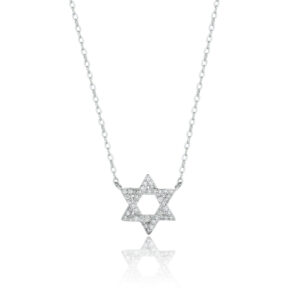שרשרת כסף שרשרת ZSI473-1